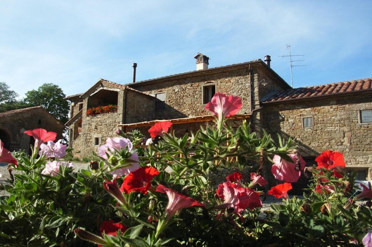 Del Viandante * Anghiari