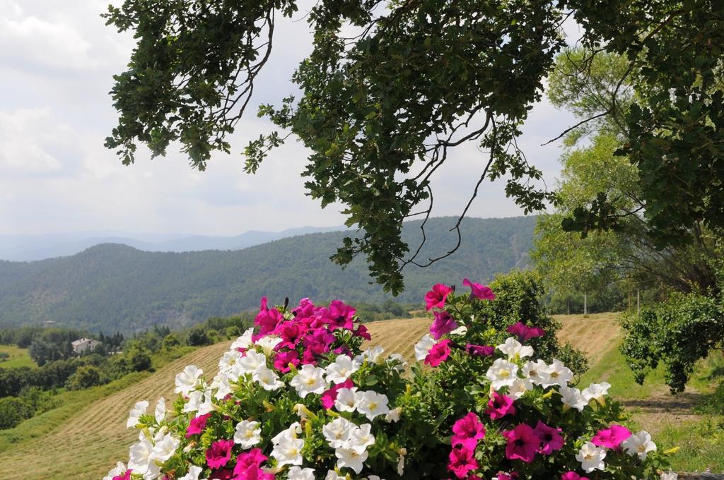Alojamento de Acomodação e Pequeno-almoço Del Viandante Anghiari