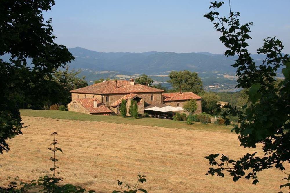 Del Viandante Anghiari