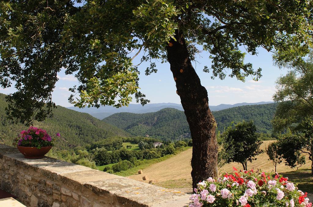 Bed & Breakfast Del Viandante *